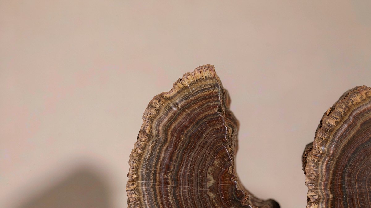 沉香的作用与功效禁忌及副作用 | 百度健康·医学科普
